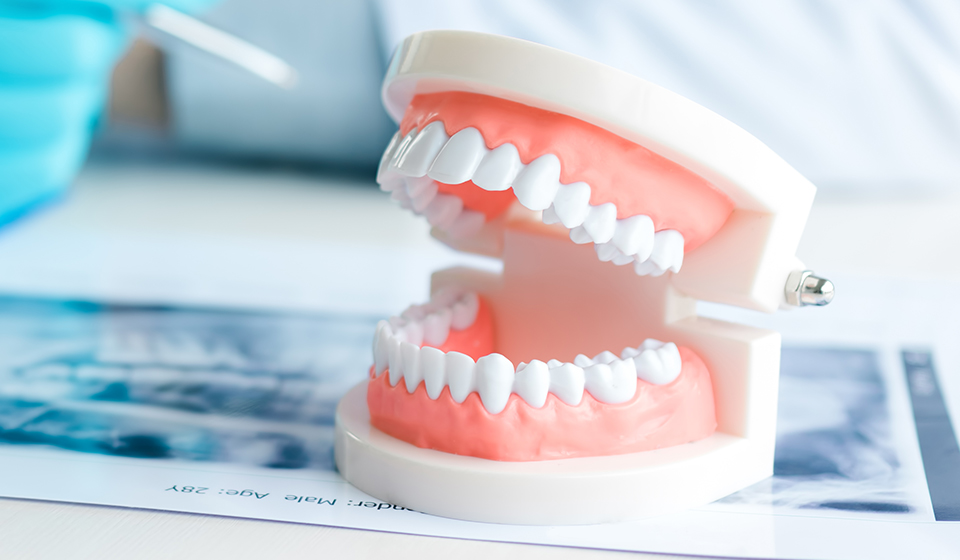 All About Dentures: A Comprehensive Guide for New Wearers